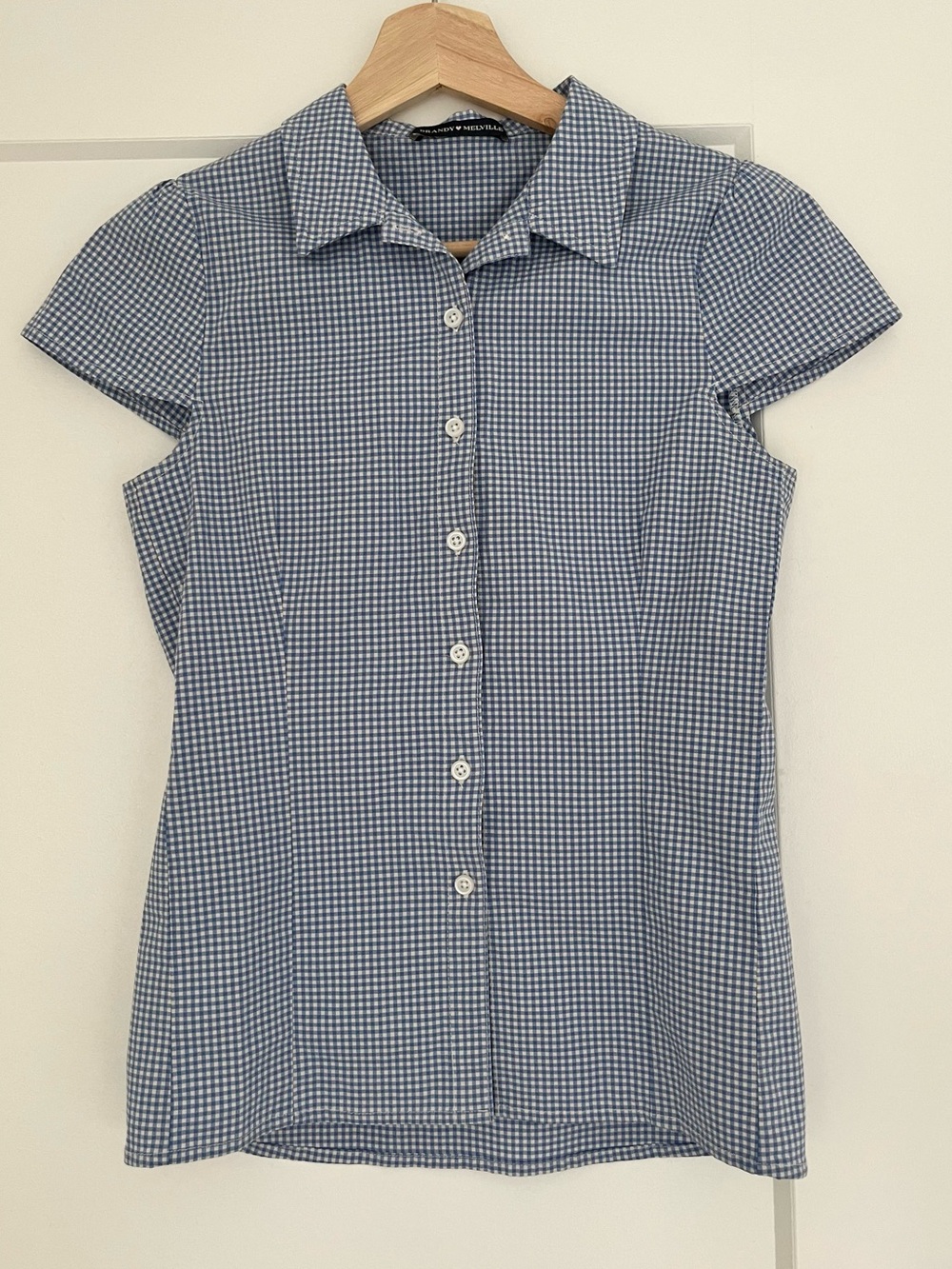 Brandy Melville Blue Gingham Short-Sleeve Button-Down Shirt